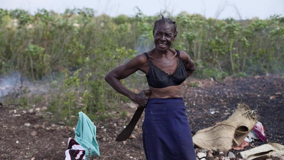 In this Monday, March 24, 2014 photo, farmer Sylgramiz Delivra, 60, takes a break from gathering cassava stem cuttings that she will use to plant on her land, in Bombardopolis, northwestern Haiti. Drought is hitting this region, alarming international aid organizations such as the U.N. World Food Program.