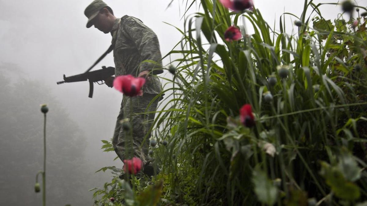 Drug trafficking is a perennial threat in Latin American and the Caribbean. But there are plenty of other security challenges ranging from cyber attacks and corruption to gang warfare and money laundering. In this file photo, a Mexican Army soldier walks in a poppy field in El Durazno, Mexico.