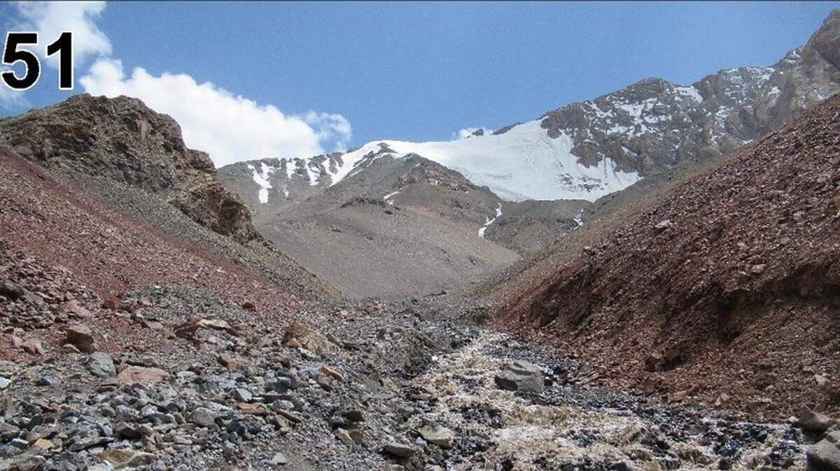 Scientists found a “peculiar” hairy animal in the mountains of Central Asia and discovered a new species, a study said.