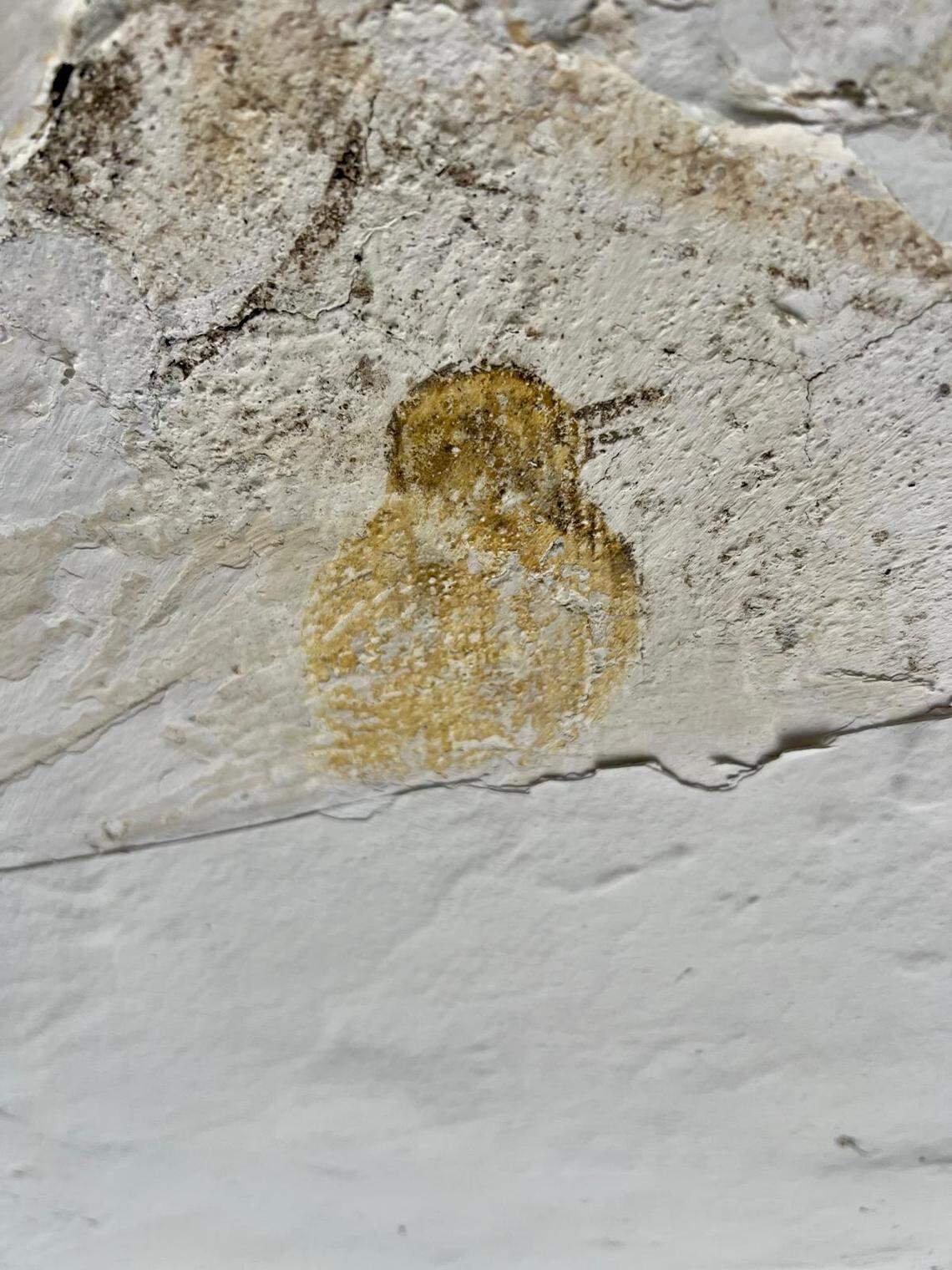 A duckling painting found at the medieval convent.