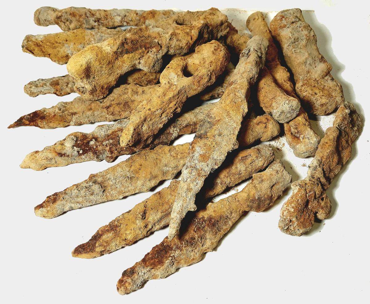 The collection of ancient Roman-era artifacts found in Hrubieszów.