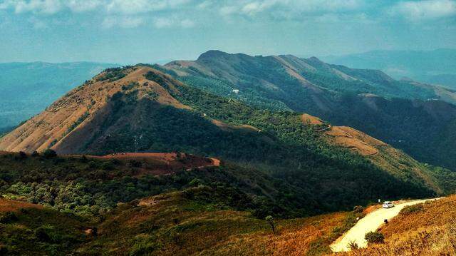 Scientists found a colorful animal in a forest of India and discovered a new species, a study said. Photo shows a representative area of Karnataka.