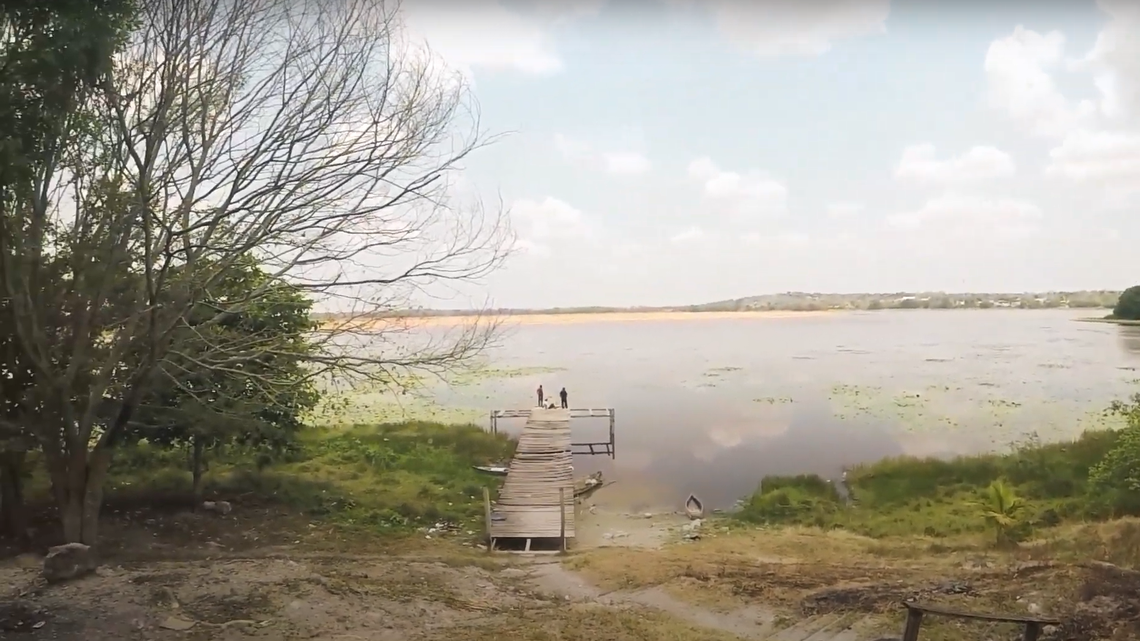 A fisherman caught an invasive species, known to cause “serious ecological damage,” in a lagoon of Mexico for the first time, a study said.