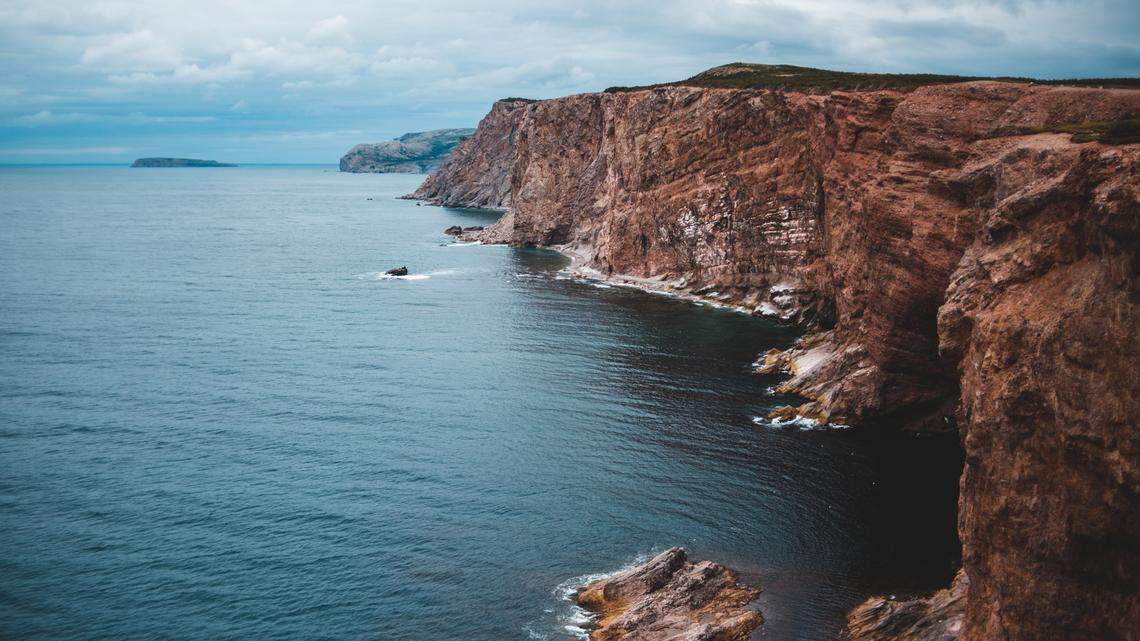 Researchers said the new species has been found throughout the North Atlantic and eastern Canadian Arctic, including along Newfoundland.