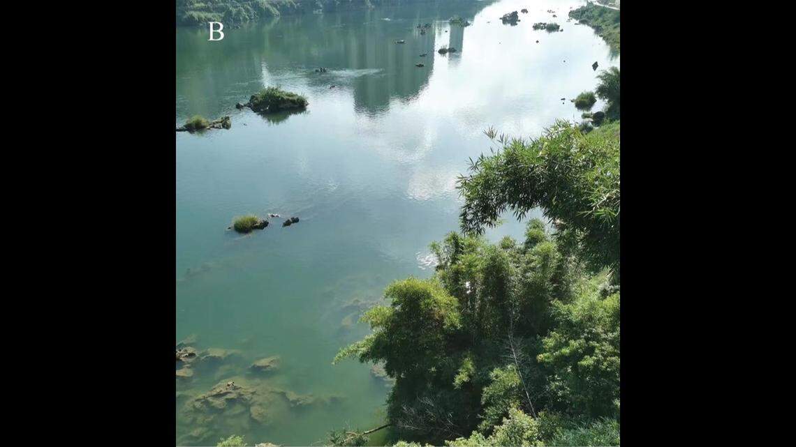 Scientists found a small animal in a river of Guangxi that uses its shell to “dance” and discovered a new species, a study said.