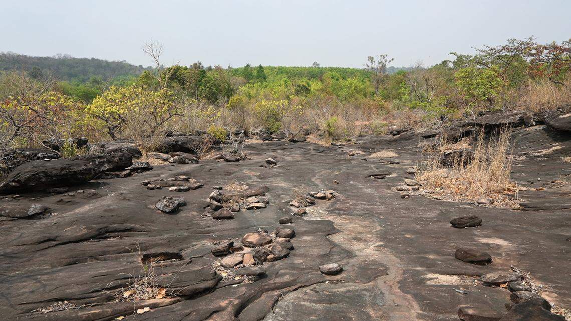 Scientists found a “large”-headed animal in a burrow under some rocks in Thailand and discovered a new species, a study said.