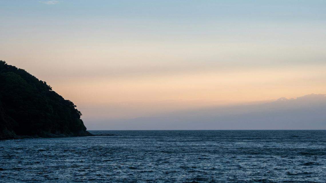 The anemone is part of a new species, genus and family, according to the study.