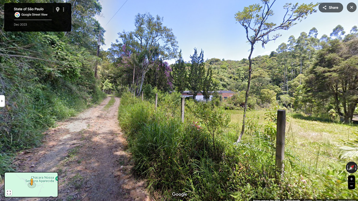 Scientists found a “large”-eyed creature with a “starry sky”-like pattern in a Brazil forest and discovered a new species, a study said.