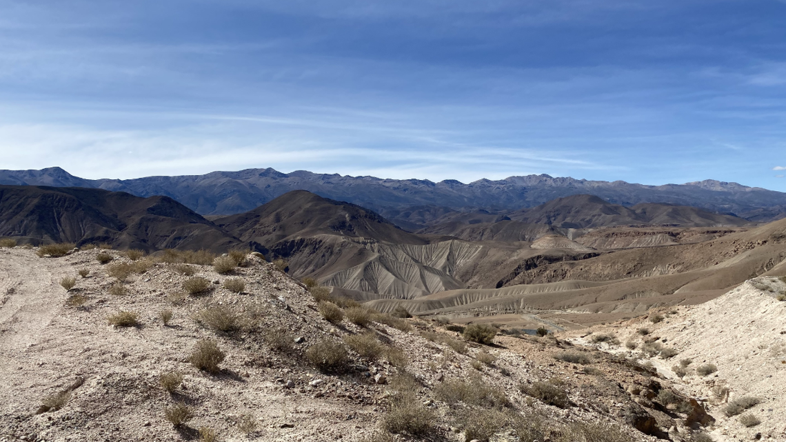 The species closely resembles the Diamondback moth, according to researchers.