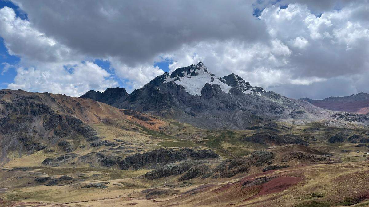 The species is given Endangered status in Peru and faces threats including infrastructure collisions, illegal use in folklore events, and wildlife trafficking, researchers said.