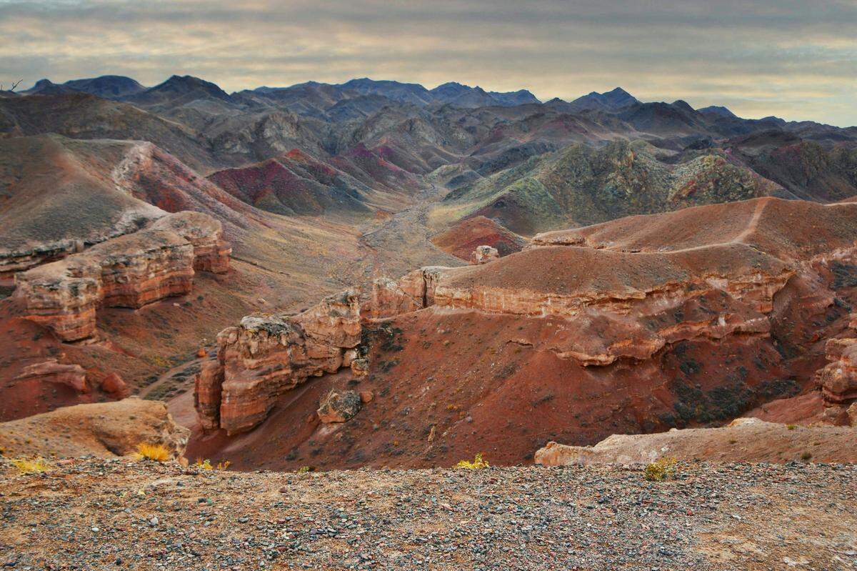 In the rocky landscape of rural Kazakhstan, a rare fluffy predator made a surprise appearance.