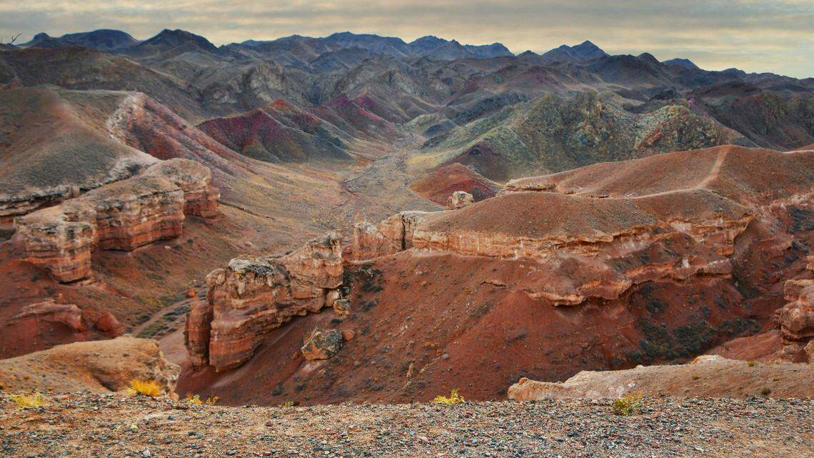In the rocky landscape of rural Kazakhstan, a rare fluffy predator made a surprise appearance.