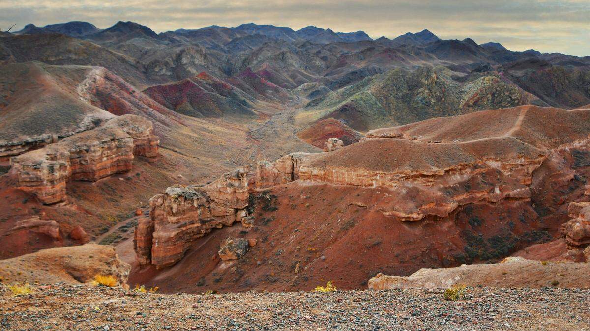 In the rocky landscape of rural Kazakhstan, a rare fluffy predator made a surprise appearance.