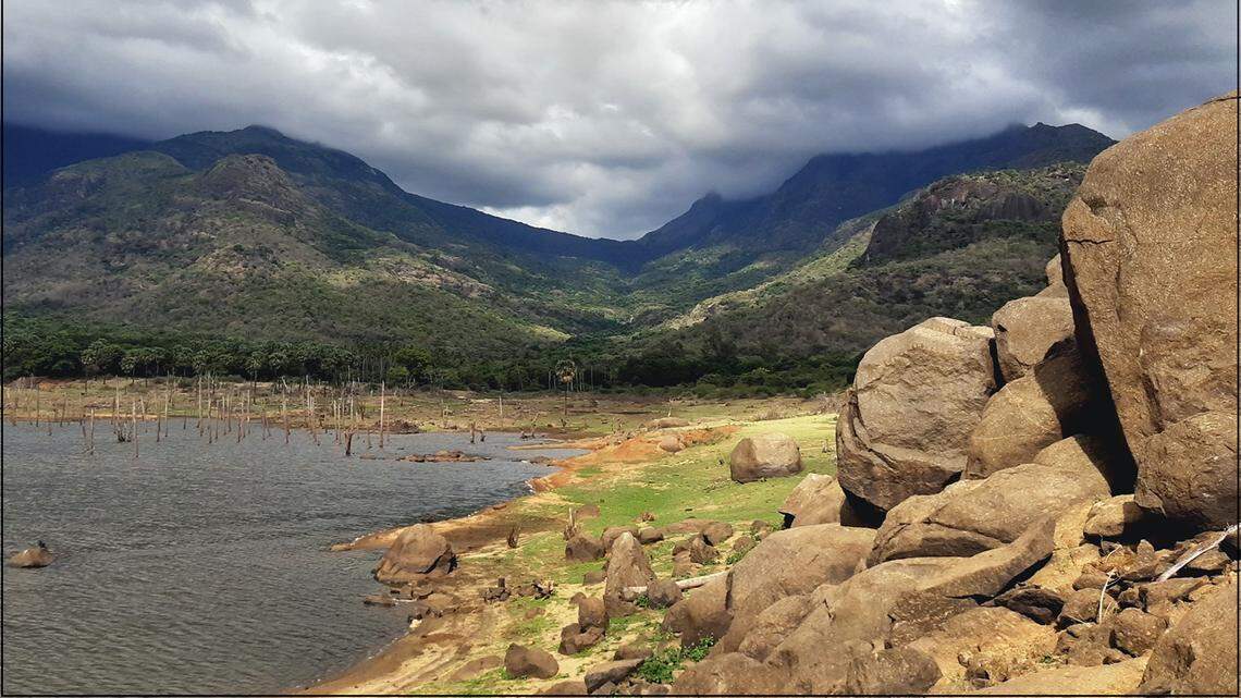 Scientists found a pregnant animal with a “window” in its eyelid in a forest of southern India and discovered a new species, a study said.