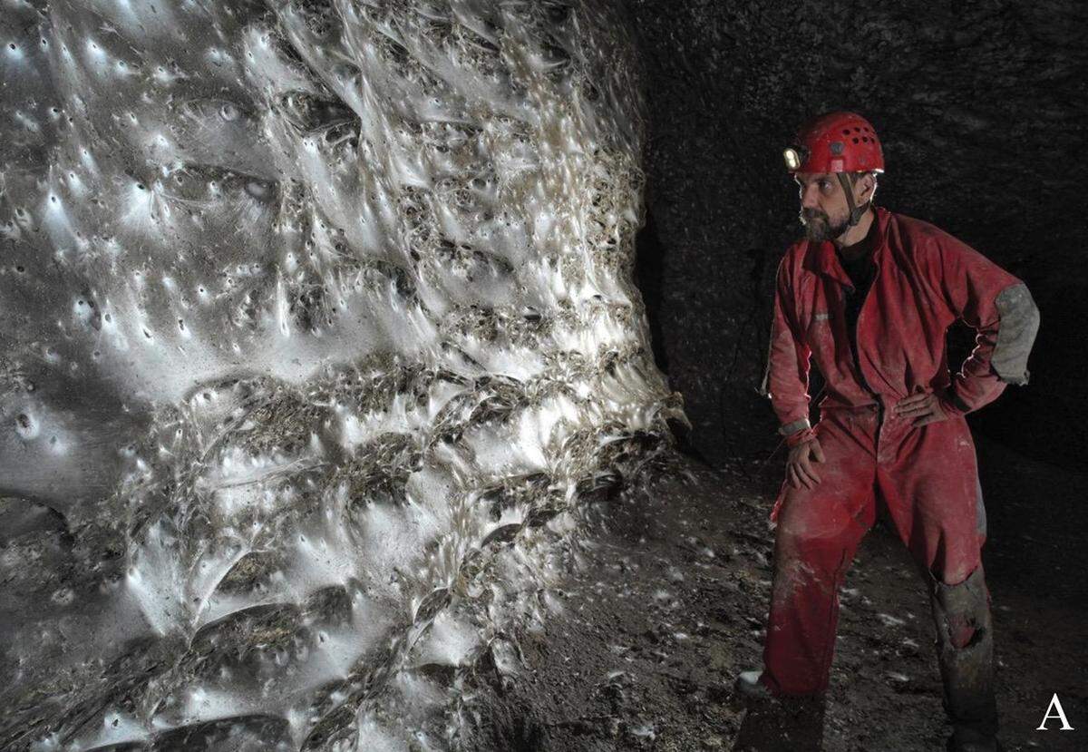 Cavers found an “extraordinary,” first-of-its-kind spider colony in a cave along the Albania-Greece border, photos show and a study said.