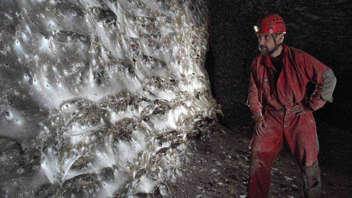 Cavers found an “extraordinary,” first-of-its-kind spider colony in a cave along the Albania-Greece border, photos show and a study said.
