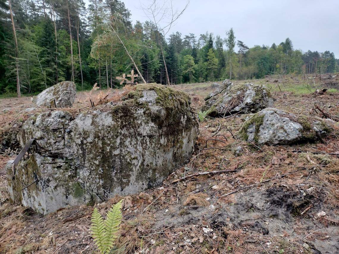 The remains of the partially destroyed WWII bunker near Tomaszów Lubelski.