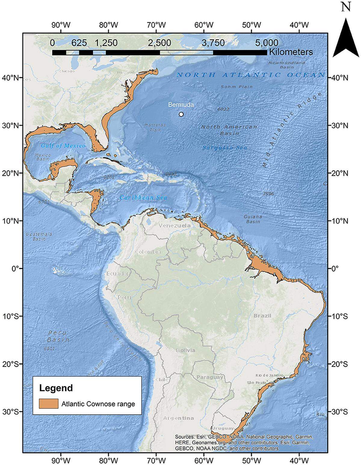 A map showing the distribution of Atlantic cownose rays, or Rhinoptera bonasus.