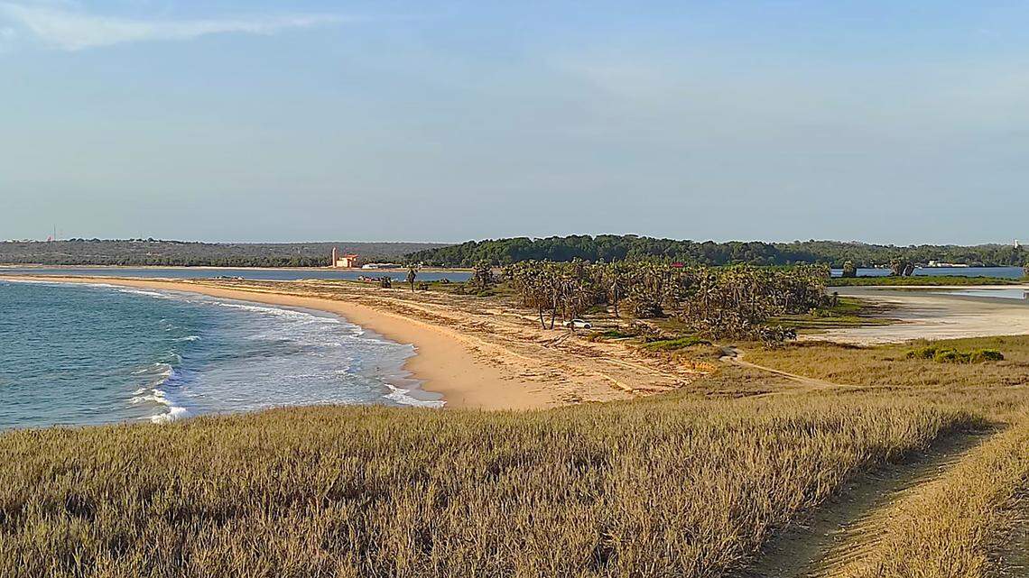 Scientists found a “long”-tailed animal with a unique snout in a sandy area of Angola and discovered a new species, a study said.
