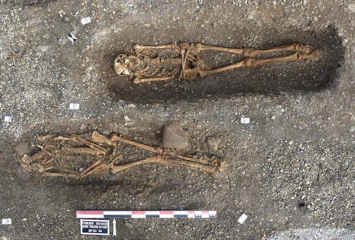 Some of the skeletons found at the medieval cemetery.