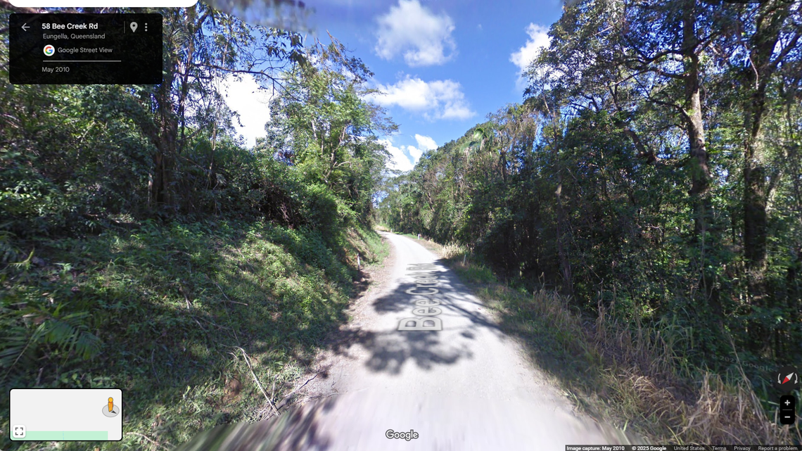 Scientists found “bright”-eyed creatures with a “whirring” call in a rainforest and discovered a new species, a study said.