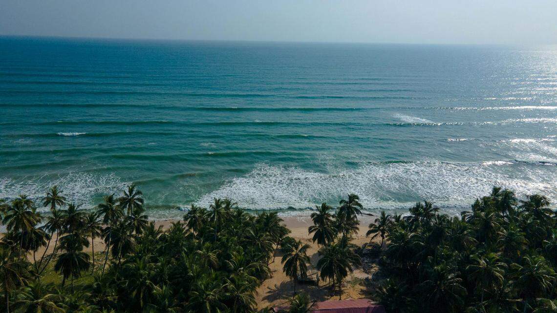 The new species inhabits waters off the coast of Mauritania down to Angola, researchers said.