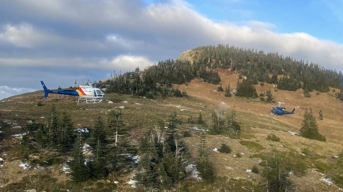 Two hikers were attacked Oct. 12 by a grizzly sow with her cubs in the McGregor mountain range, according to Canadian officials.