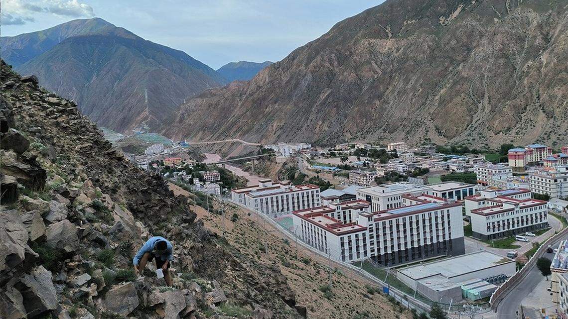 Scientists found a pointy creature with a “ribbed” shell stuck to a bush in Markam County and discovered a new species, a study said.