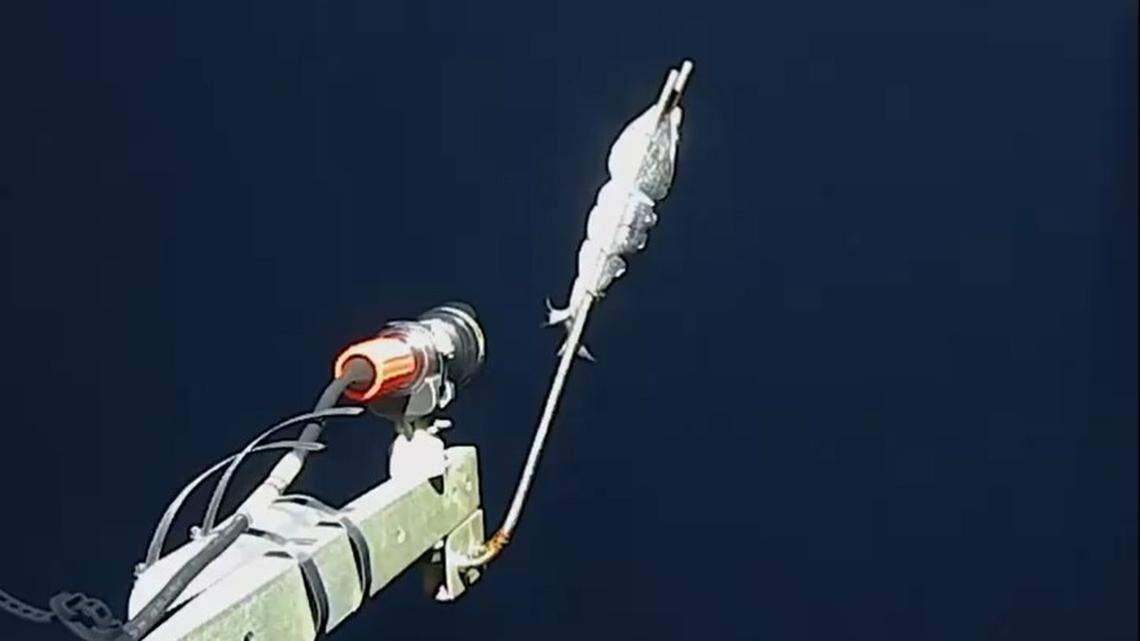 Scientists dropped a baited camera in the Pacific Ocean and filmed a rarely seen deep-sea animal attacking it, a “very lucky” video shows.