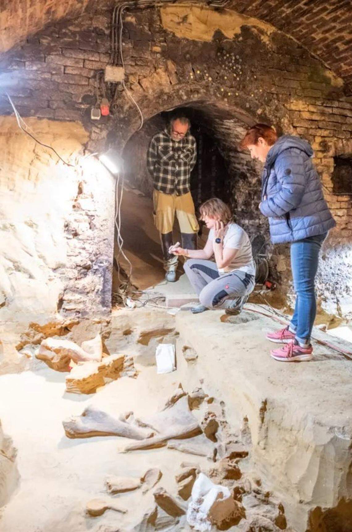 People stand in the wine cellar in Langenlois.