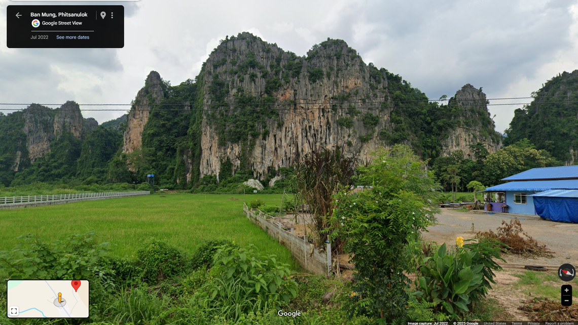 Scientists found a venomous creature with “golden yellow” eyes in a cave in Thailand and discovered a new species, study said.