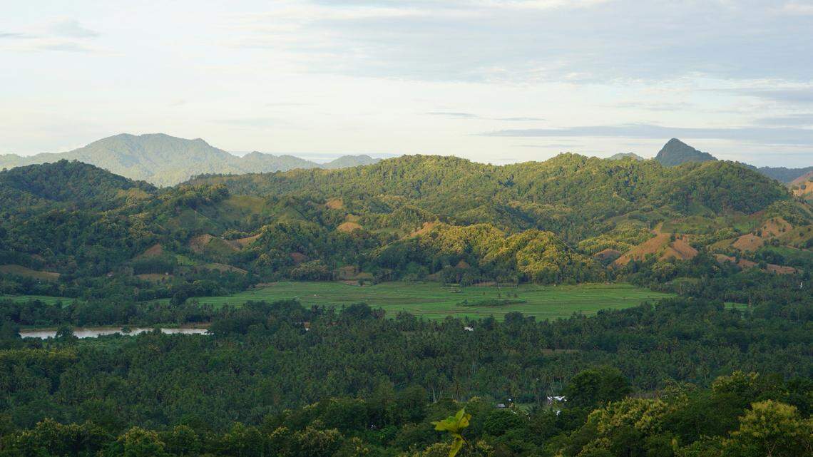Scientists found “large”-eyed creatures with “slender” limbs mating on Sulawesi Island and discovered a new species, a study said.