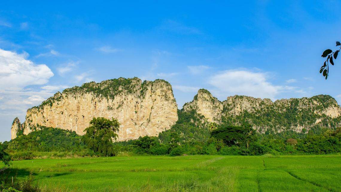 Scientists found a pregnant animal with a “golden” tail on rocks in Thailand and discovered a new species, a study said.