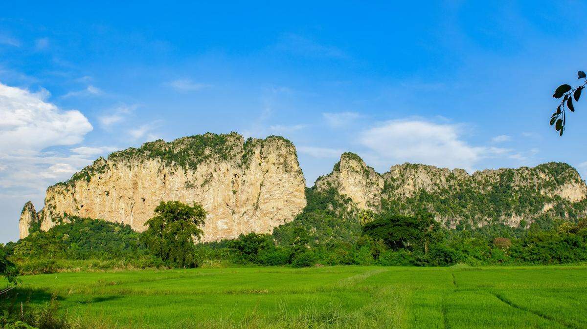 Scientists found a pregnant animal with a “golden” tail on rocks in Thailand and discovered a new species, a study said.