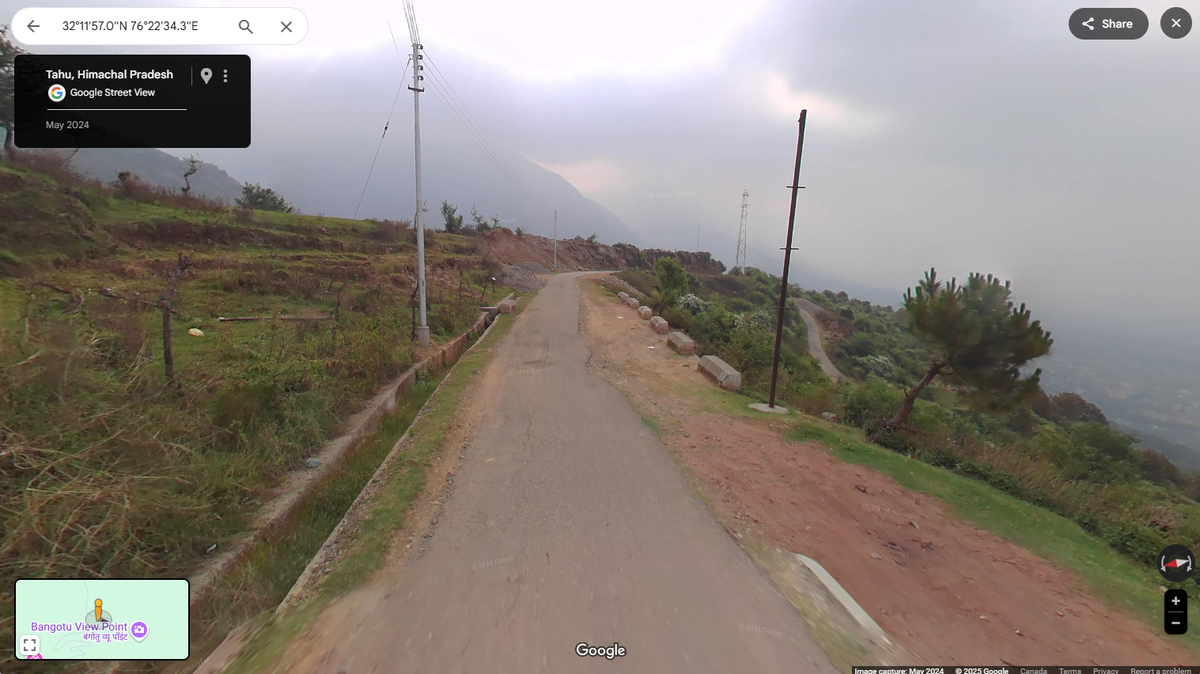 Scientists found a creature with “robust” and “bent” toes along a mountain road in India and discovered a new species, a study said.