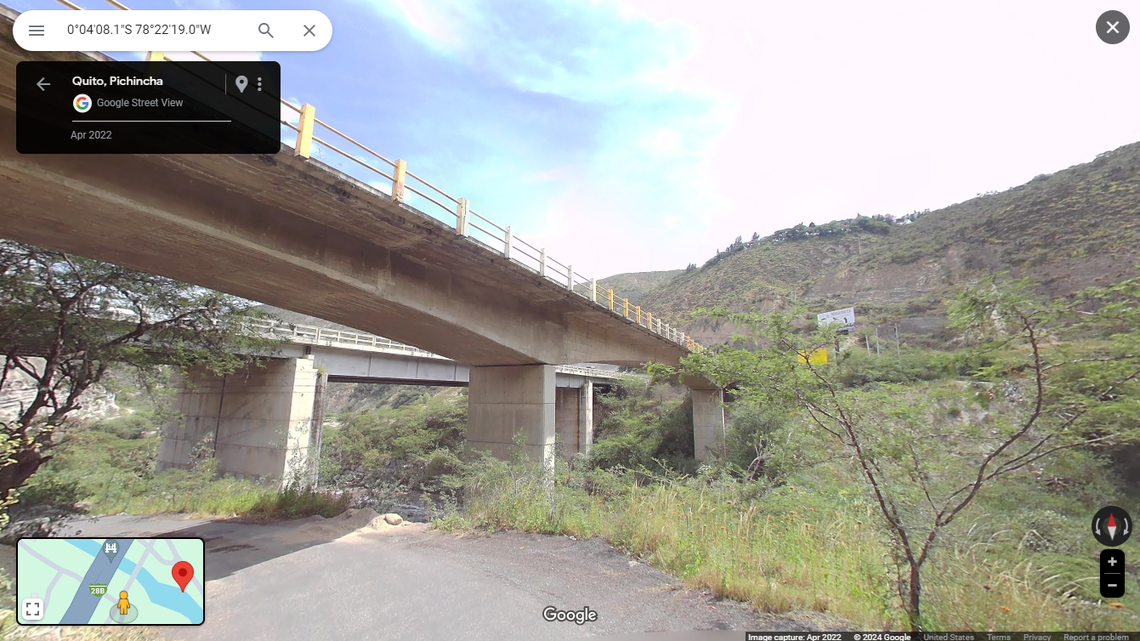 Scientists found a “cryptic” animal with a “squared snout” west of the Andes mountains and discovered a new species, a study said.