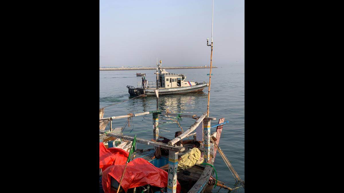 Los pescadores en Pakistán capturaron a varios depredadores con dientes en la lengua que luego los científicos identificaron como dos nuevas especies, según un estudio.