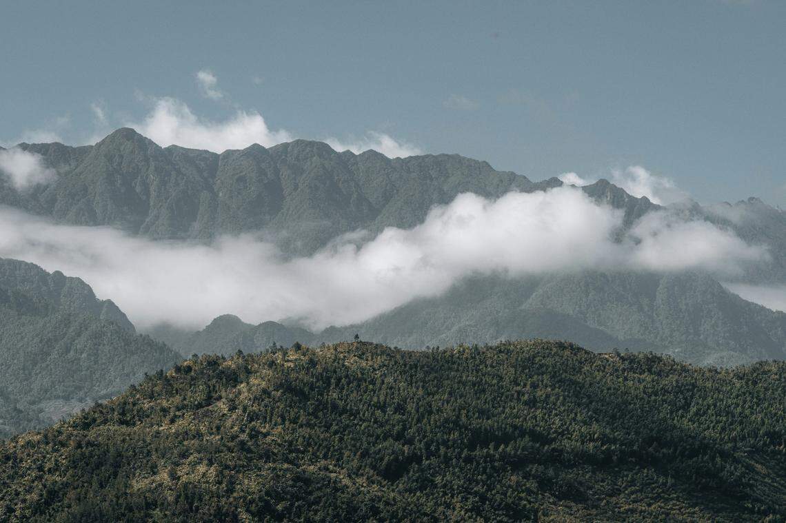 Scientists found a half-asleep creature with a “window” in its eyelid on a mountain and discovered a new species, a study said.