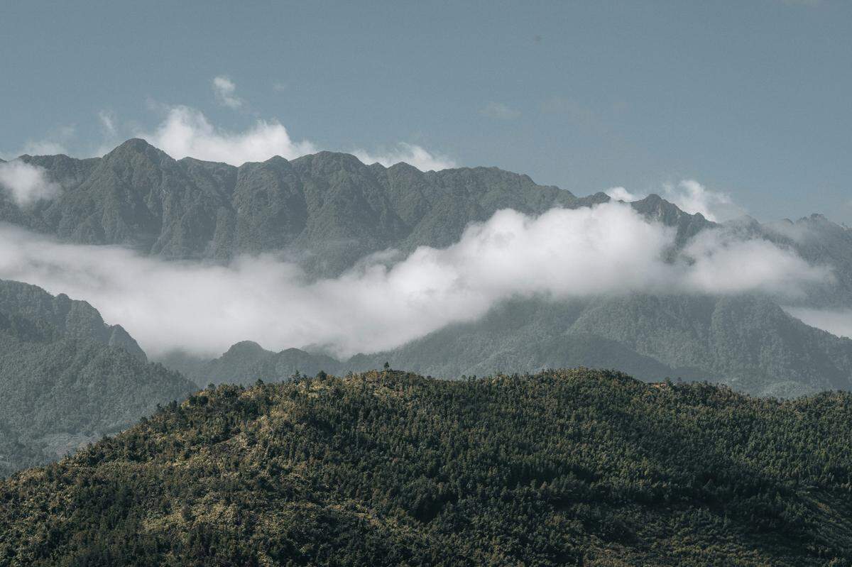 Scientists found a half-asleep creature with a “window” in its eyelid on a mountain and discovered a new species, a study said.