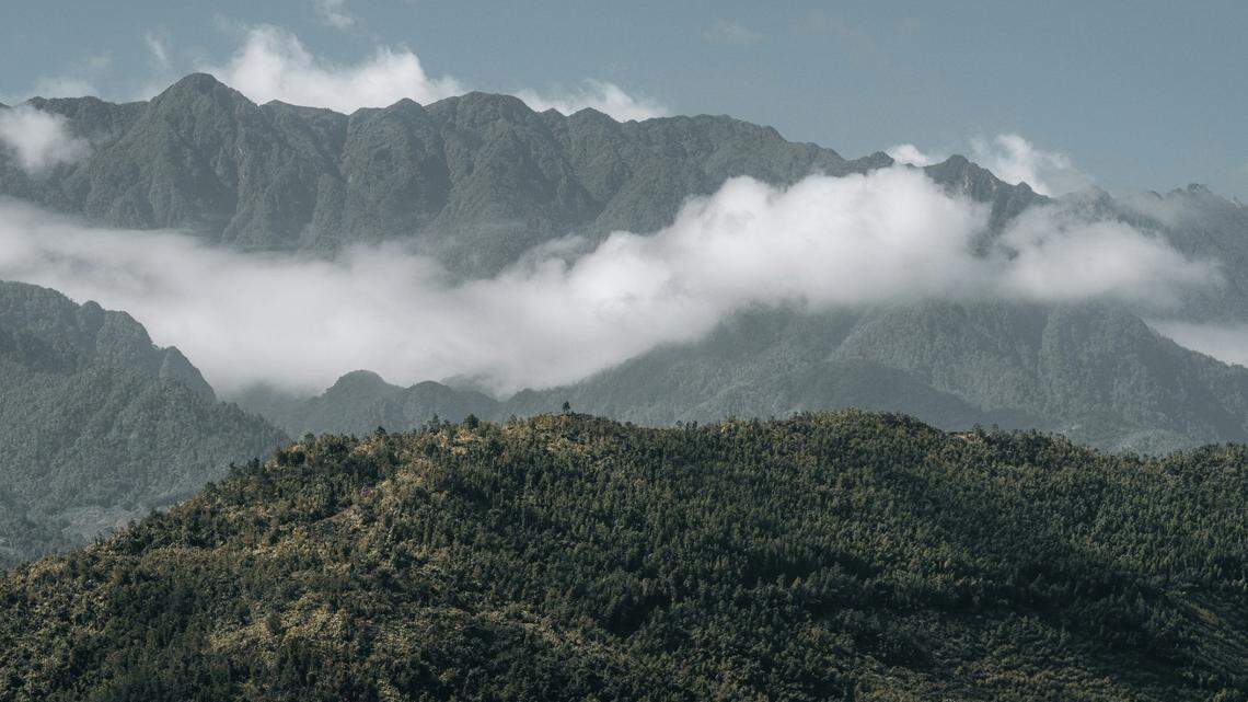 Scientists found a half-asleep creature with a “window” in its eyelid on a mountain and discovered a new species, a study said.