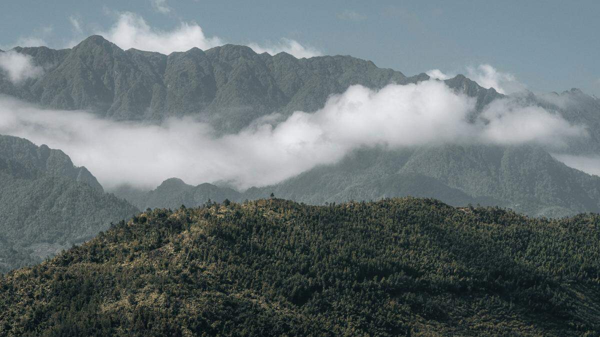 Scientists found a half-asleep creature with a “window” in its eyelid on a mountain and discovered a new species, a study said.
