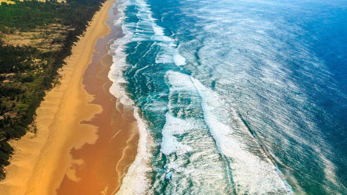 Scientists found a “pygmy” sea creature with a “crown-like” bump on its head in Sodwana Bay and discovered a new species, a study said.