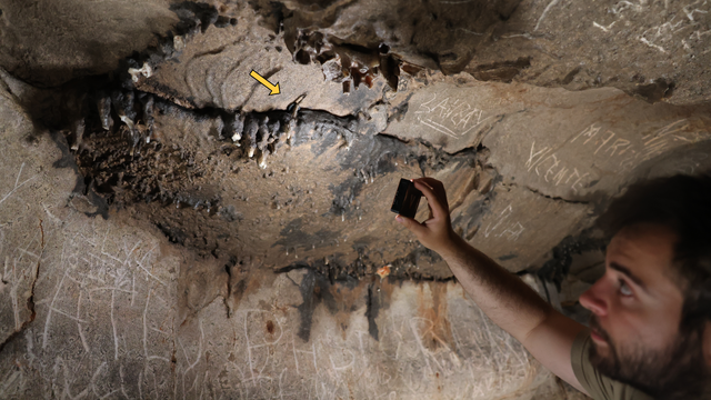 Ancient Roman coin, inscriptions found in cave in Spain | Belleville ...