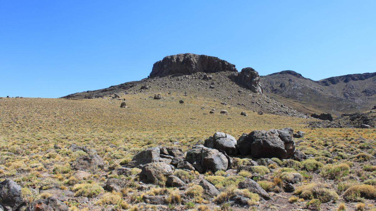 Scientists found a cryptic creature at a volcanic lava field and discovered a new species, a study said and photos show.