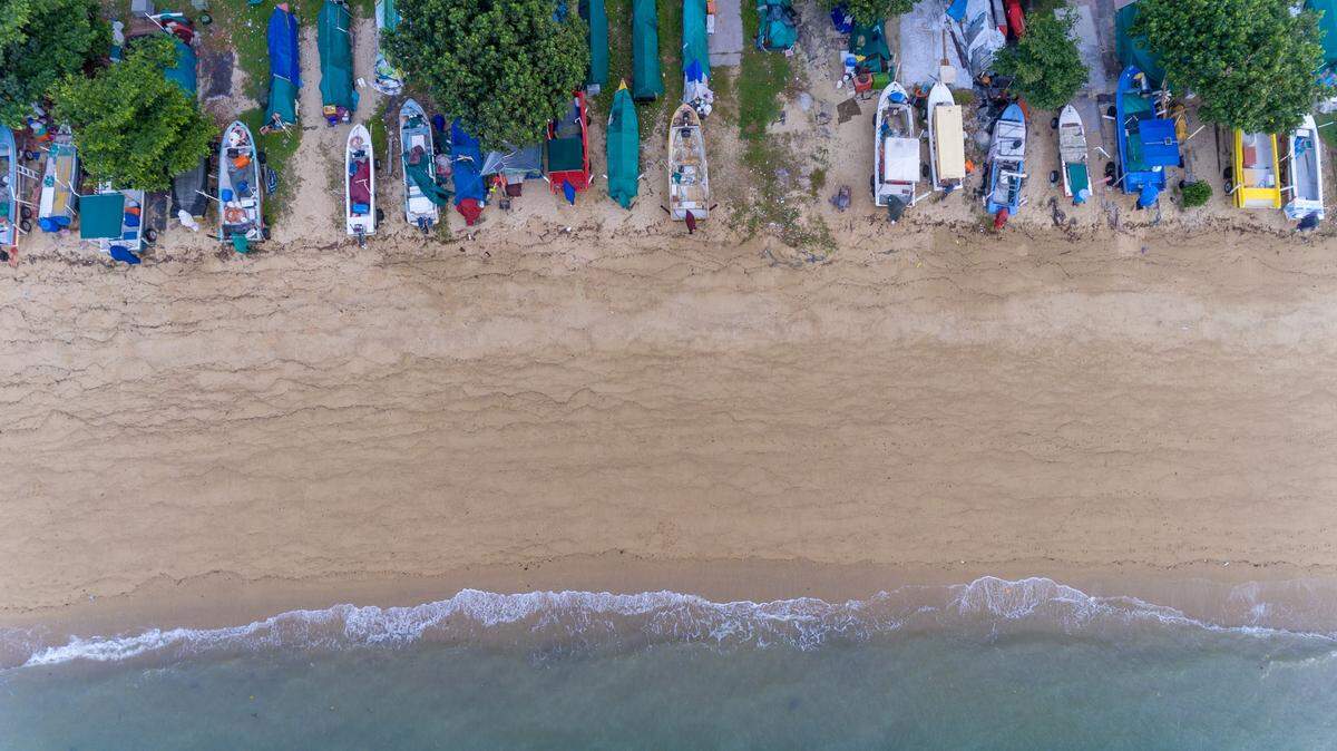 Scientists in Singapore found a sea animal with 96 arms and discovered a new species, a study said. Photo shows a representative beach in Singapore.