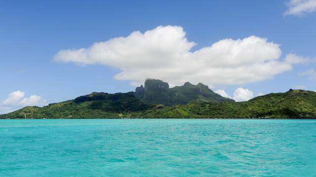 Scuba diving scientists found sea creatures with “spaghetti”-like tentacles on coral reefs of Polynesia and discovered a new species, a study said.