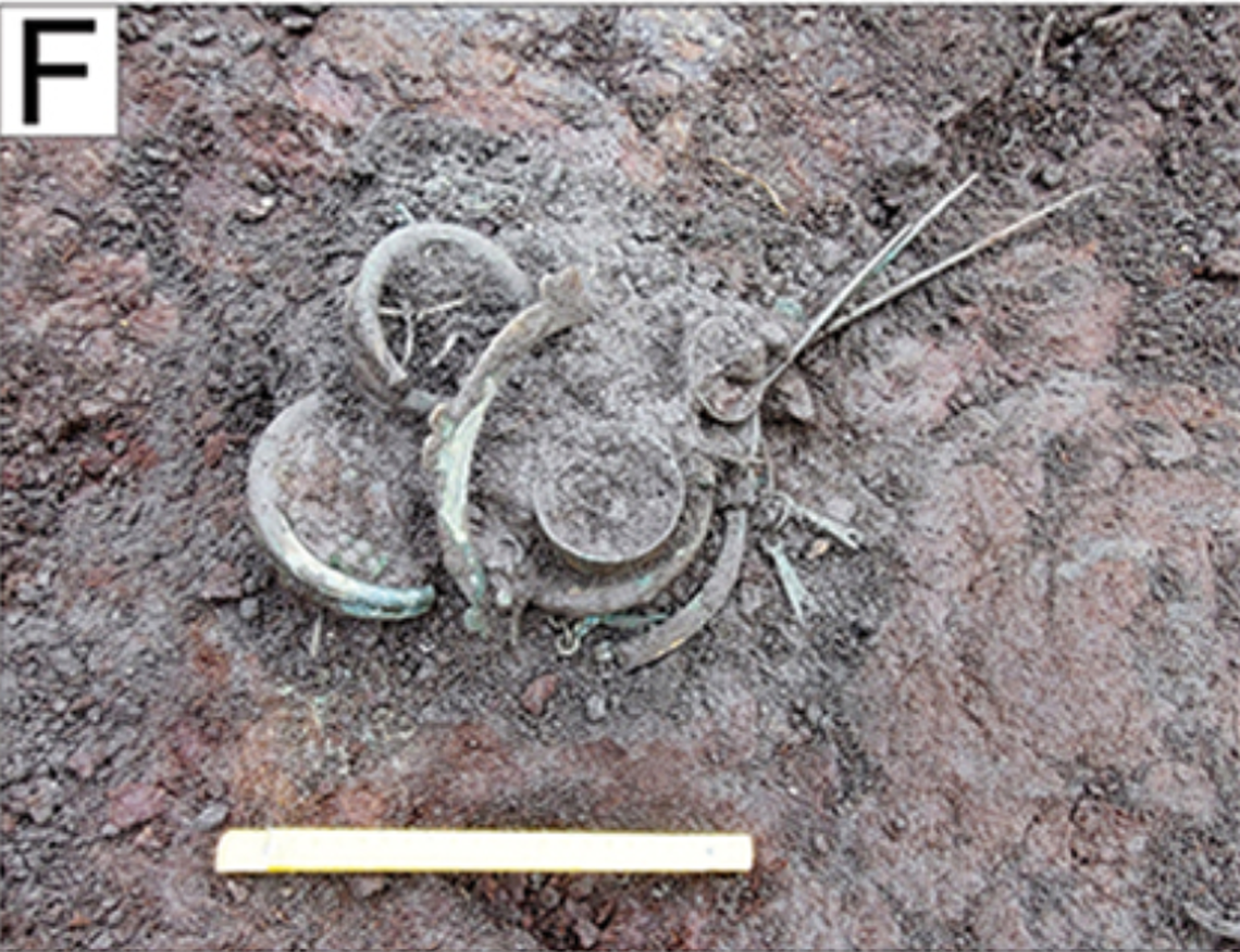 Another offering deposits with bronze artifacts found at Papowo Biskupie.
