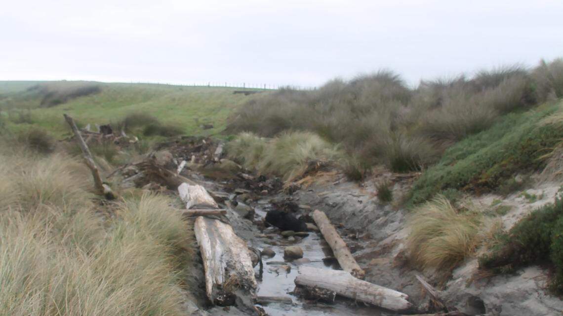 Wood protruding from the sand in two countries led to major archaeological discoveries.