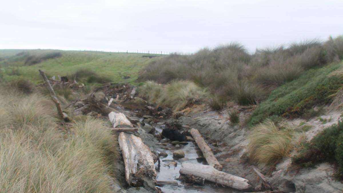 Wood protruding from the sand in two countries led to major archaeological discoveries.