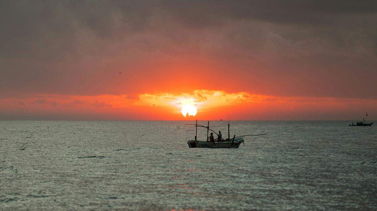 The rarely seen species was accidentally trapped in a fishing vessel’s tuna net, according to the study.